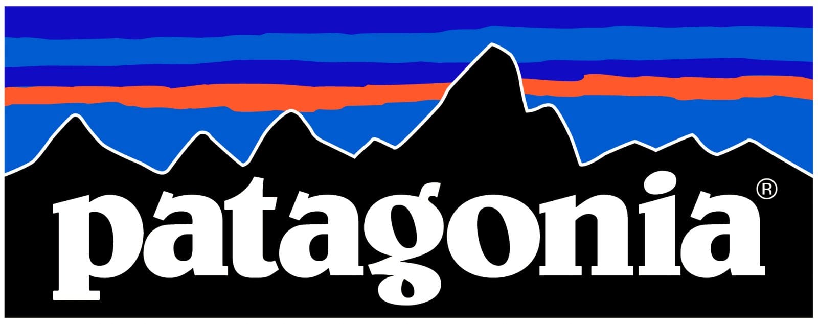 Patagonia Case Study Logo