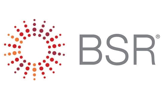 Business for Social Responsibility Logo